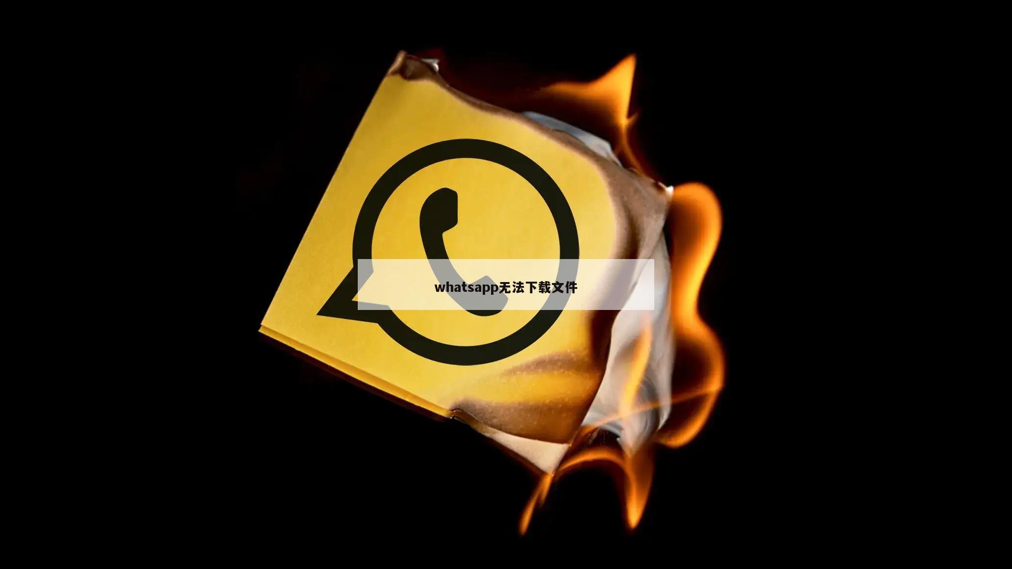 whatsapp无法下载文件